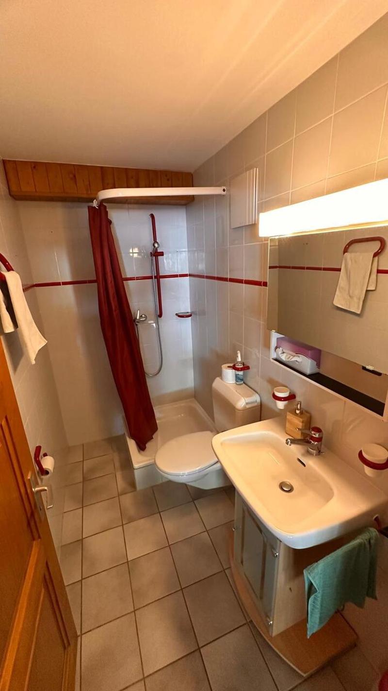 Appartement Meublé 2,5 pièces (12)