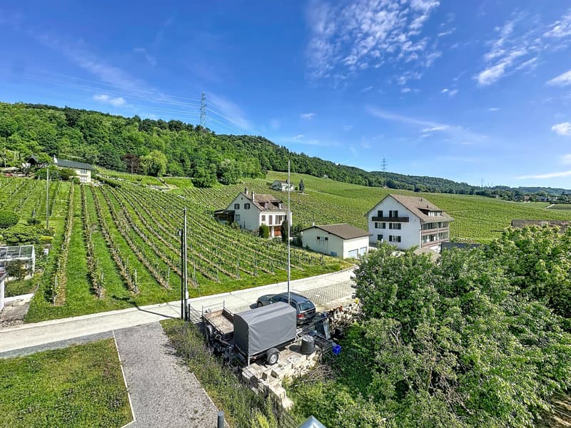 Appartement en attique avec vue lac (9)