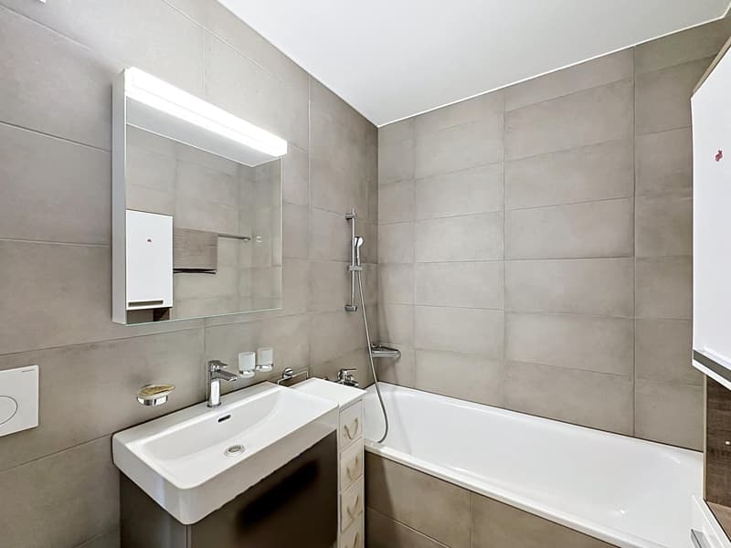 Appartement en attique avec vue lac (8)