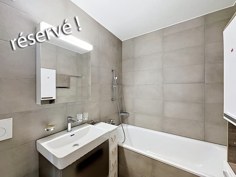 En exclusivité - Appartement lumineux en attique avec vue lac (2)