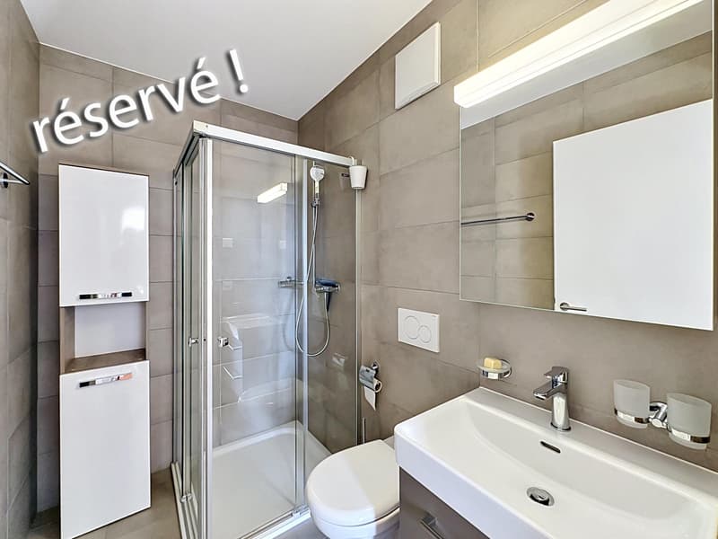 En exclusivité - Appartement lumineux en attique avec vue lac (9)