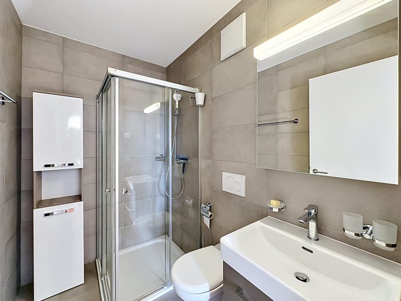En exclusivité - Appartement lumineux en attique avec vue lac (8)