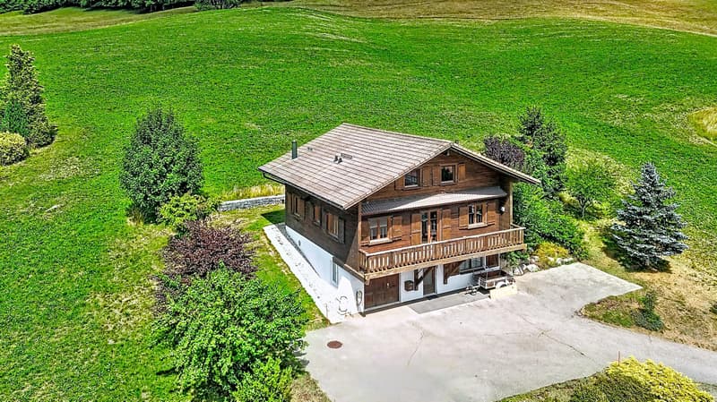 En exclusivité - Chalet individuel avec vue sur le Lac (2)