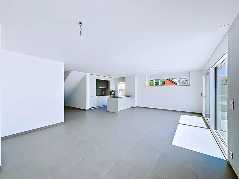 Villa jumelle de 7 pièces avec jardin (5)