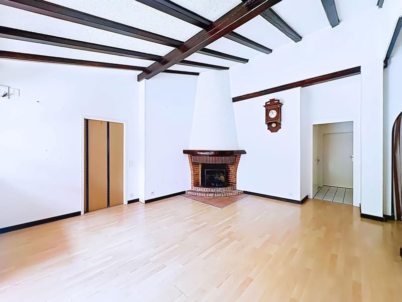En exclusivité - Grand appartement avec jardin privatif, terrasse et balcon (12)