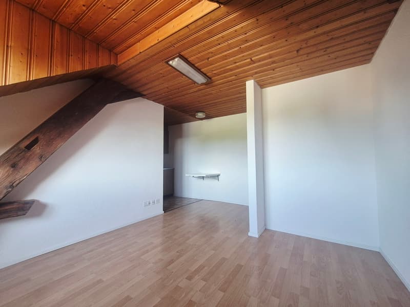 VUISTERNENS-EN-OGOZ / Studio (4)