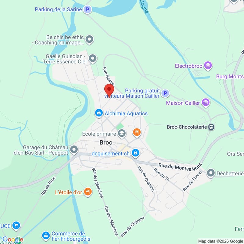 BROC - Attique de 3,5 pièces avec vue panoramique (12)