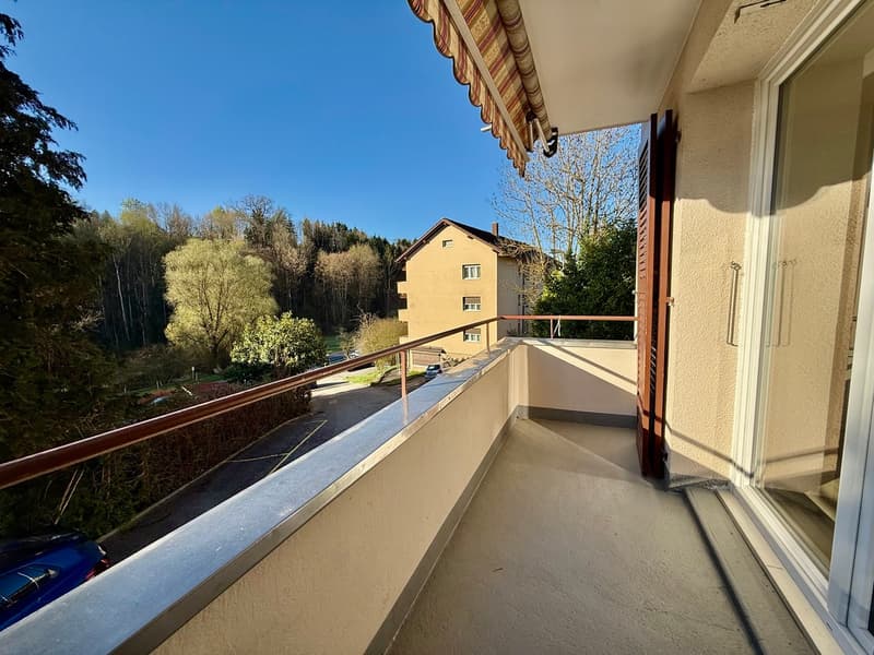 Appartement de 3.5 pièces entièrement rénové (7)