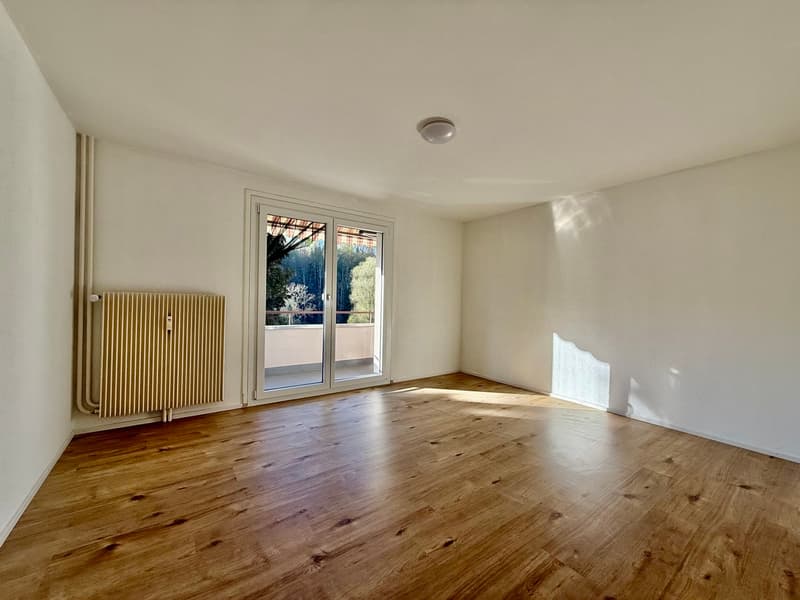 Appartement de 3.5 pièces entièrement rénové (3)