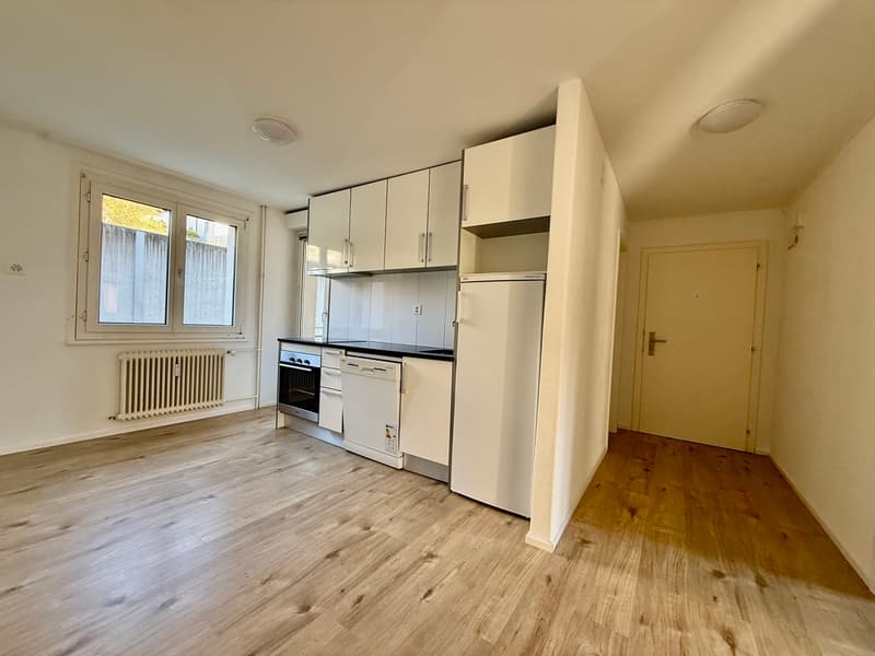 Appartement de 3.5 pièces entièrement rénové (2)
