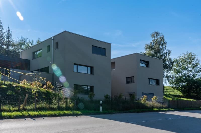 BONNEFONTAINE - Maison individuelle moderne de 185 m2 (1)