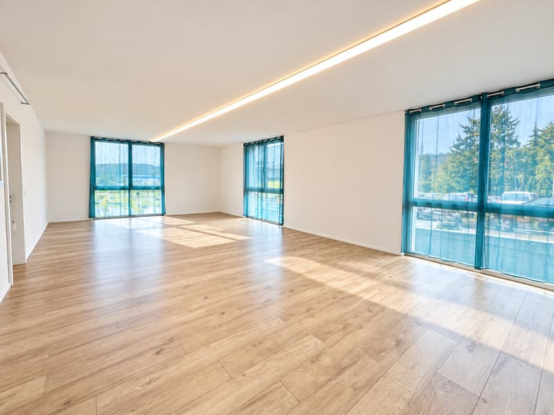 Zone industrielle de Farvagny - Local de 200 m2 (5)