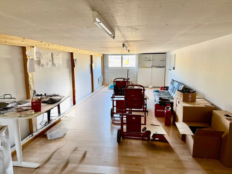 Zone industrielle de Farvagny - local/dépôt de 50 m2 (3)