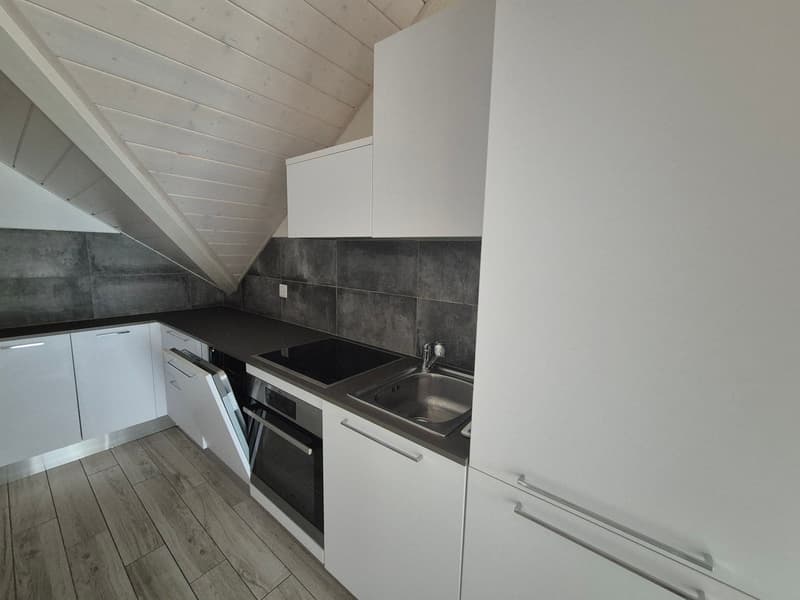 MOUDON / Studio avez mezzanine au centre (2)