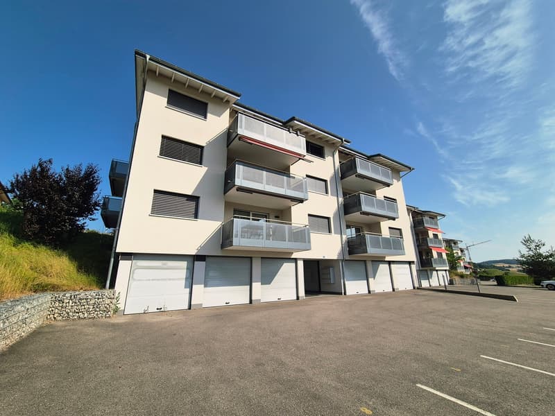 VILLAZ-ST-PIERRE / 2.5 avec balcon et colonne de lavage (1)