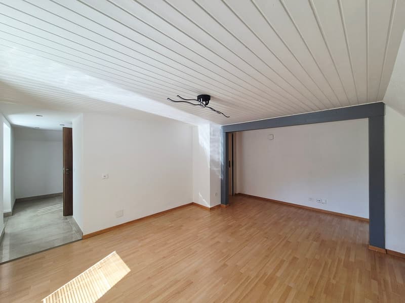 BROC-FABRIQUE / 3.5 pièces en duplex rénové en 2026 (4)