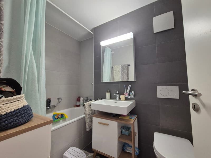 VILLAZ-ST-PIERRE / 3,5 pièces avec balcon et colonne de lavage (9)