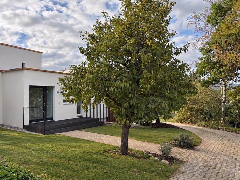 BULLE -- VILLA CONTIGUË RÉNOVÉE DE 6,5 PIÈCES AVEC JARDIN (2)