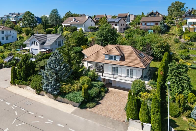 Detached house, brown roof, white walls, garage, balcony, driveway, garden, trees