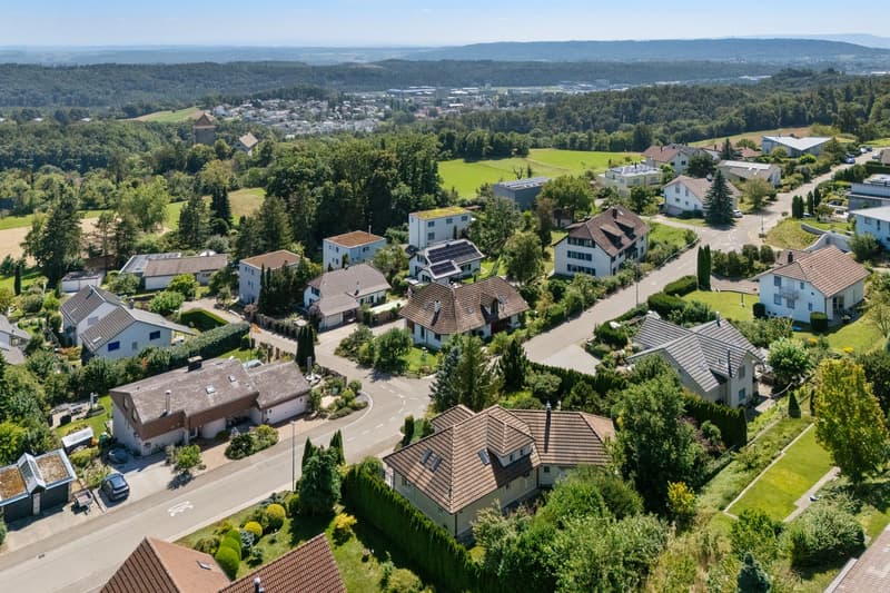 Suburban neighborhood with several houses, some with solar panels, surrounded by trees and greenery