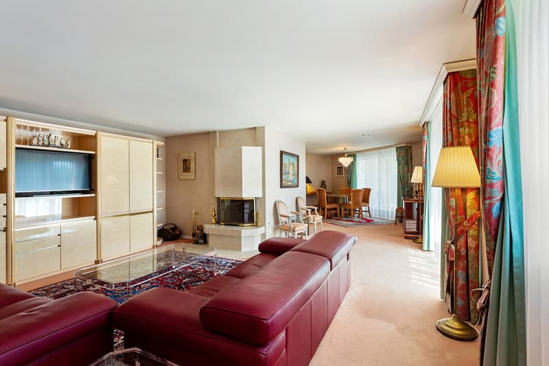 Red leather sofa, glass coffee table, fireplace, TV, wooden cabinet, dining table, chairs, lamps, rug, curtains
