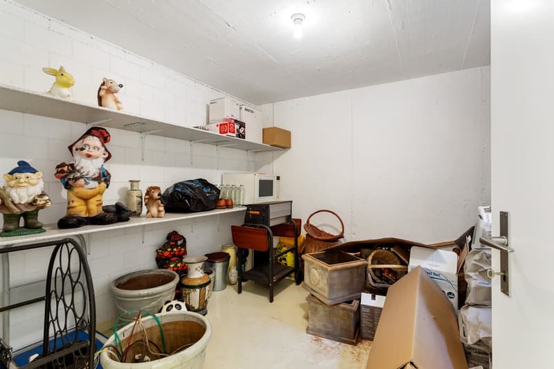 Storage room with shelves, figurines, boxes, baskets, a microwave, and various items