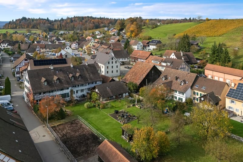 Aerial view of a village with several houses, some with solar panels, surrounded by green fields and trees.