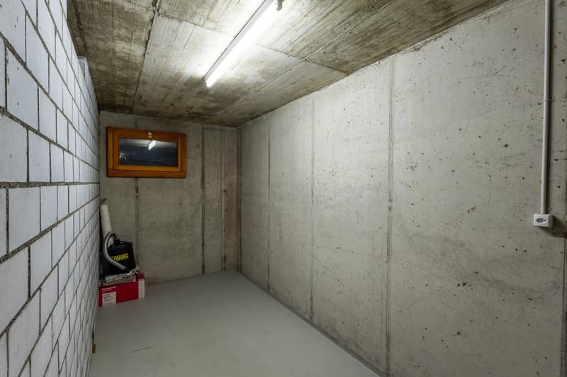 4.5-Zimmer-Wohntraum in Steckborn – Wintergarten, Kamin & Abendsonne (12)