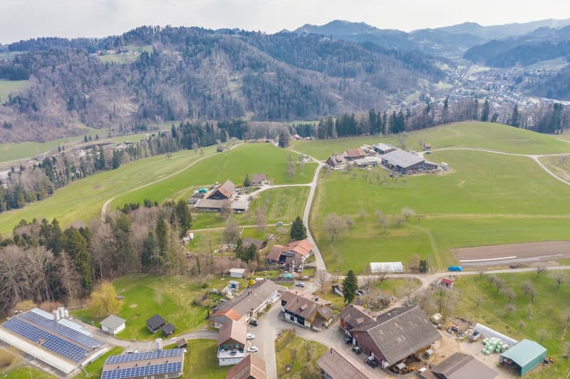 LÄNDLICHE IDYLLE NAHE ZÜRICH (2)