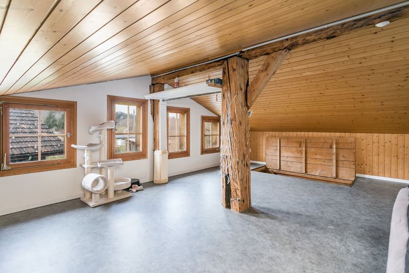 LÄNDLICHE IDYLLE NAHE ZÜRICH (10)