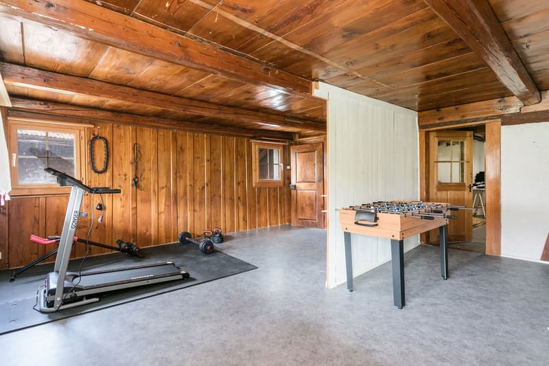 LÄNDLICHE IDYLLE NAHE ZÜRICH (8)