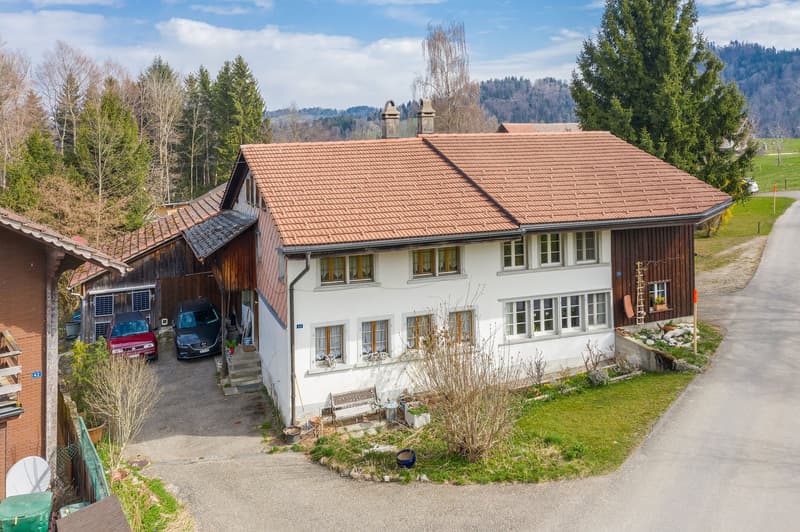 LÄNDLICHE IDYLLE NAHE ZÜRICH (11)