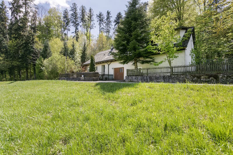 Naturidylle mit viel Land, Nebengebäude & Privatsphäre – Nähe Zug und Zürich (3)