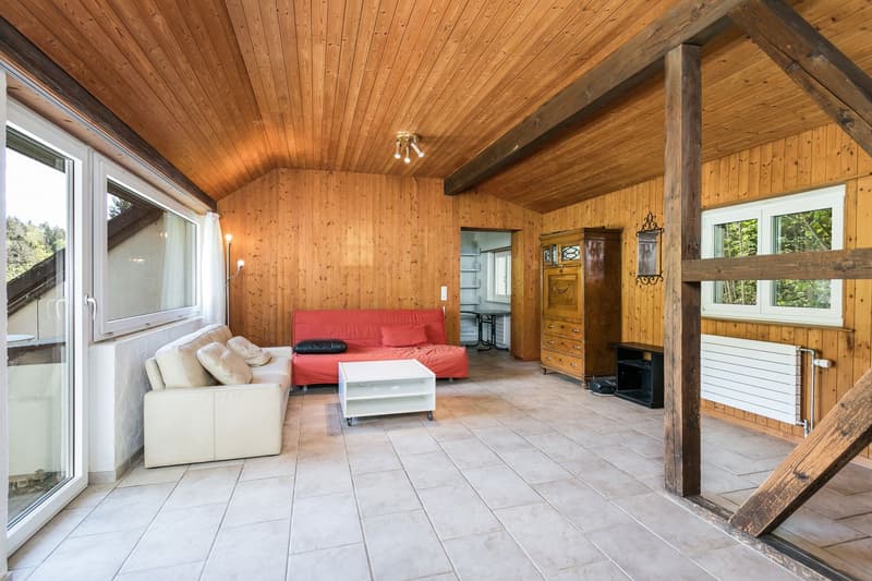 Naturidylle mit viel Land, Nebengebäude & Privatsphäre – Nähe Zug und Zürich (9)