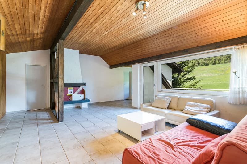 Naturidylle mit viel Land, Nebengebäude & Privatsphäre – Nähe Zug und Zürich (10)