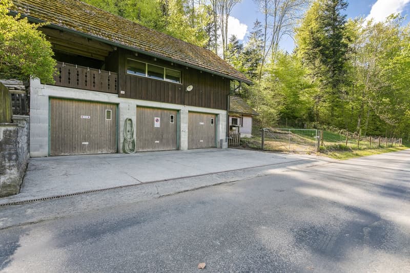 Naturidylle mit viel Land, Nebengebäude & Privatsphäre – Nähe Zug und Zürich (13)