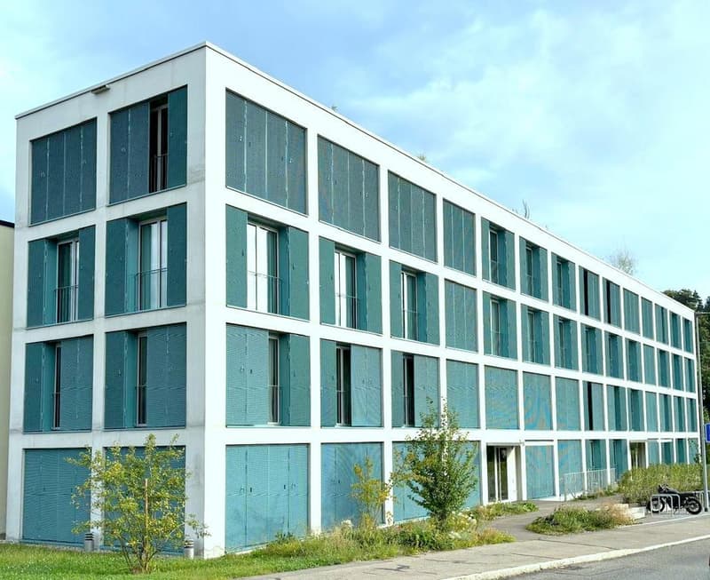 Aussenansicht_Haus_10_12.jpeg