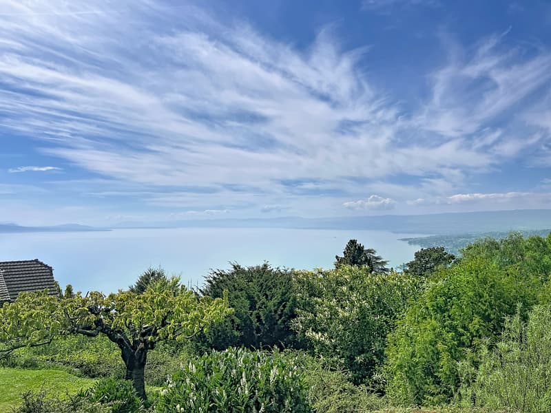 Le Panorama de Grandvaux (11)