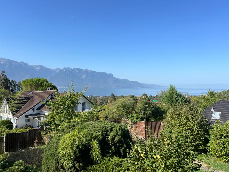 Superbe parcelle arborisée avec vue dégagée sur le lac à Blonay (2)