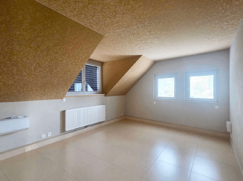Rare propriété au bord du Léman composée de deux appartements indépend (5)