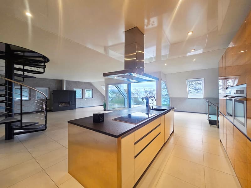 Rare propriété au bord du Léman composée de deux appartements indépend (2)