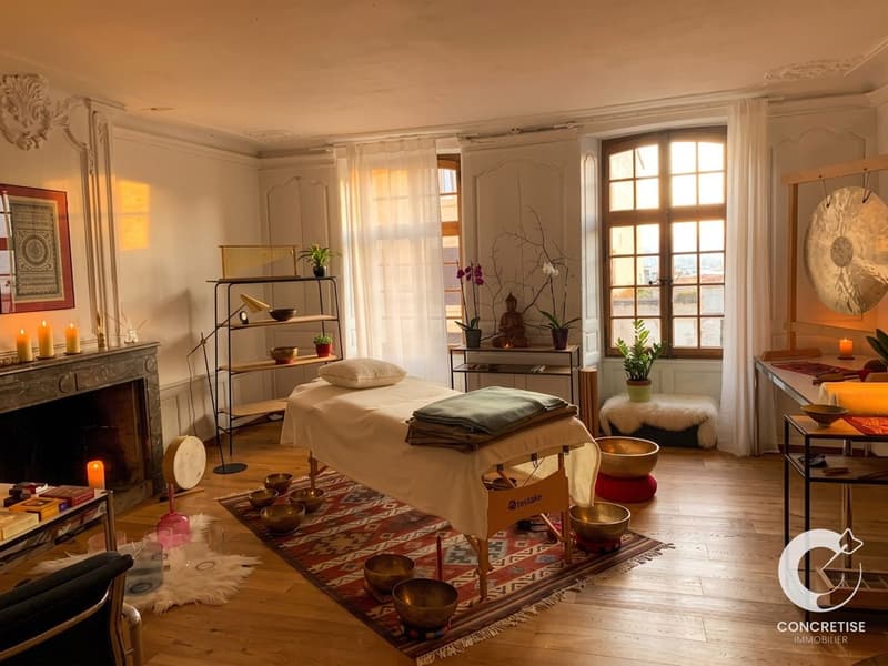 Véritable maison de Maîtres historique polyvalente (9)