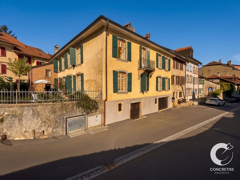 Véritable maison de Maîtres historique polyvalente (13)