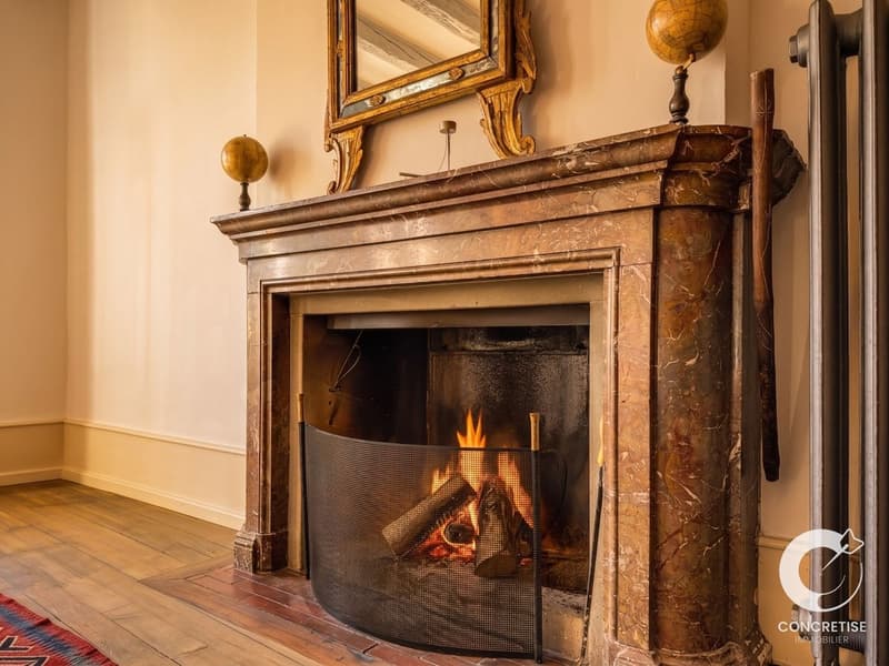 Véritable maison de Maîtres historique polyvalente (6)
