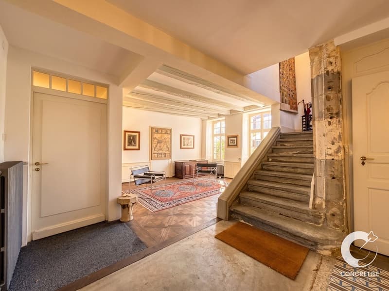 Véritable maison de Maîtres historique polyvalente (8)