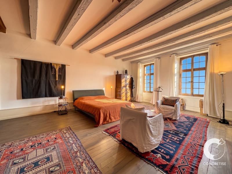 Véritable maison de Maîtres historique polyvalente (4)