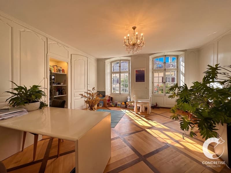 Véritable maison de Maîtres historique polyvalente (12)