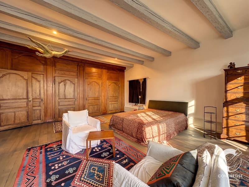 Véritable maison de Maîtres historique polyvalente (5)