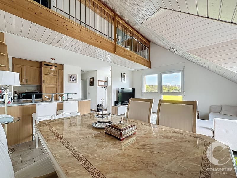 Duplex avec jardin et vue Alpes / Mont-Blanc - Daillens (4)