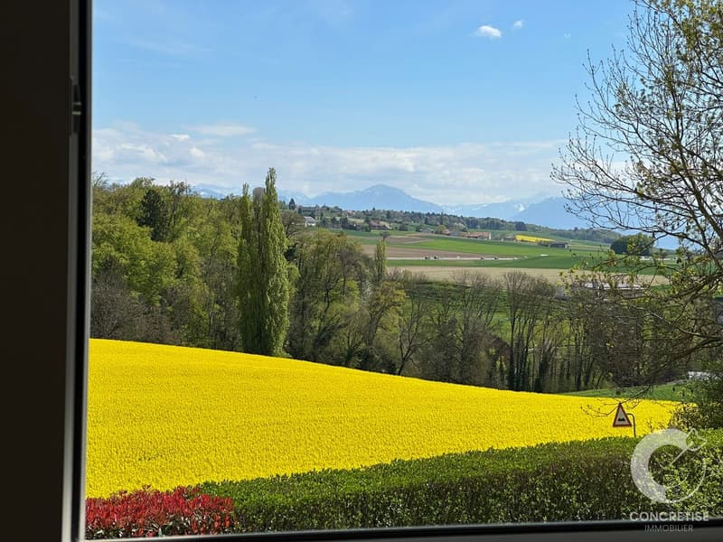 Duplex avec jardin et vue Alpes / Mont-Blanc - Daillens (11)